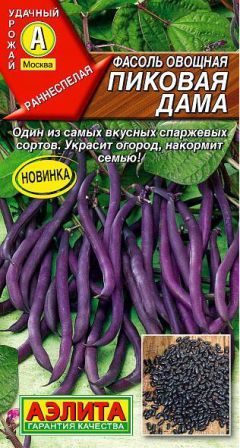 Фасоль Пиковая дама овощная 5гр *10 (Аэлита)