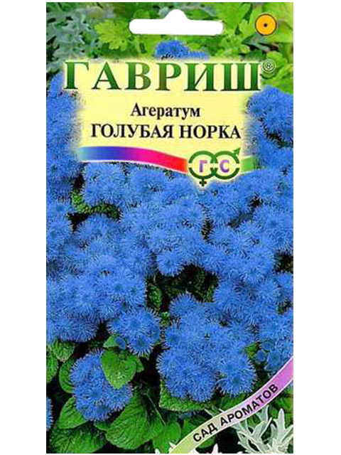 Агератум Голубая норка  0,05гр*10 (Гавриш)
