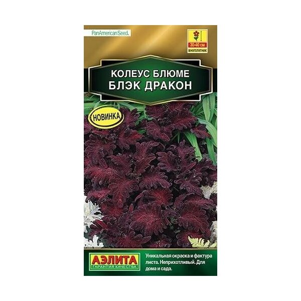 Колеус Блюме Блэк дракон 10шт*10 (Аэлита)