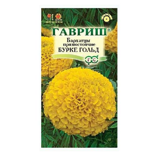 Бархатцы Бурке Гольд прямостоячие 0,3гр*10 (Гавриш)