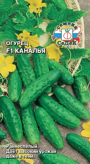 Огурец Каналья F1 0,2гр*10 (Седек)