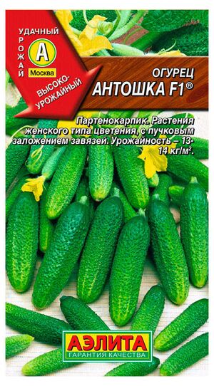 Огурец Антошка F1 0,3гр  *10 (Аэлита)