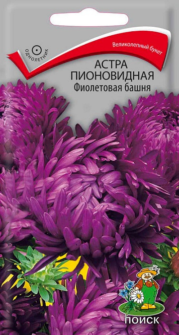 Астра пионовидная Фиолетовая  башня 0,3гр* 10 (ПЦц)