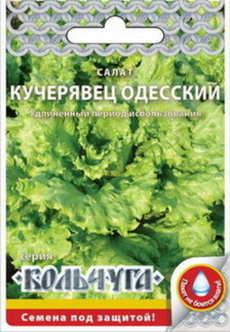Салат Кучерявец одесский кочанный 1гр*10 (БОк)