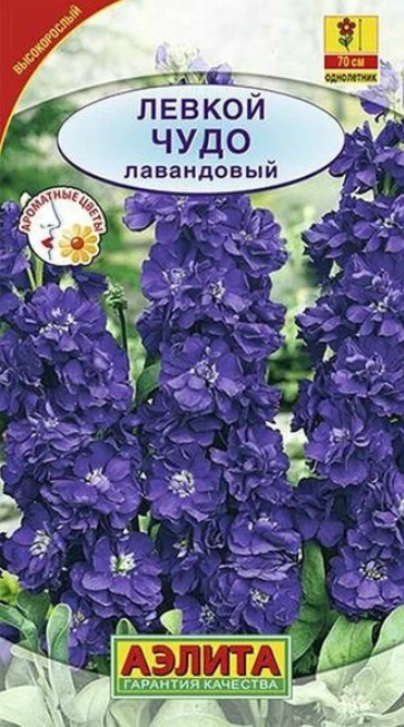 Левкой Высокорослый Чудо лавандовый 0,1 гр * (Аэлита)