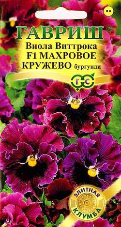Виола Виттрока Махровое кружево бургунди 5шт*10 (Гавриш)
