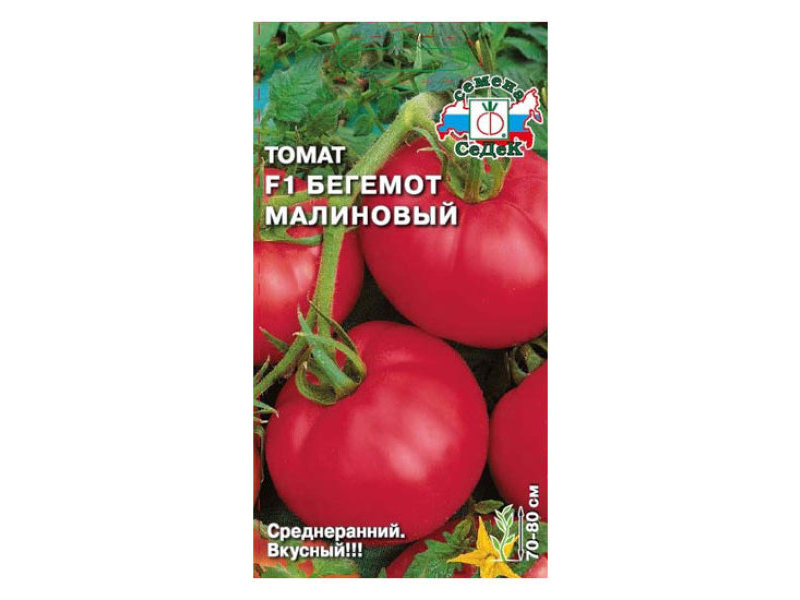 Томат Бегемот малиновый F1 0,05гр*10 (Седек)