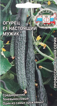 Огурец Настоящий мужик F1 0,2гр*10 (Седек)